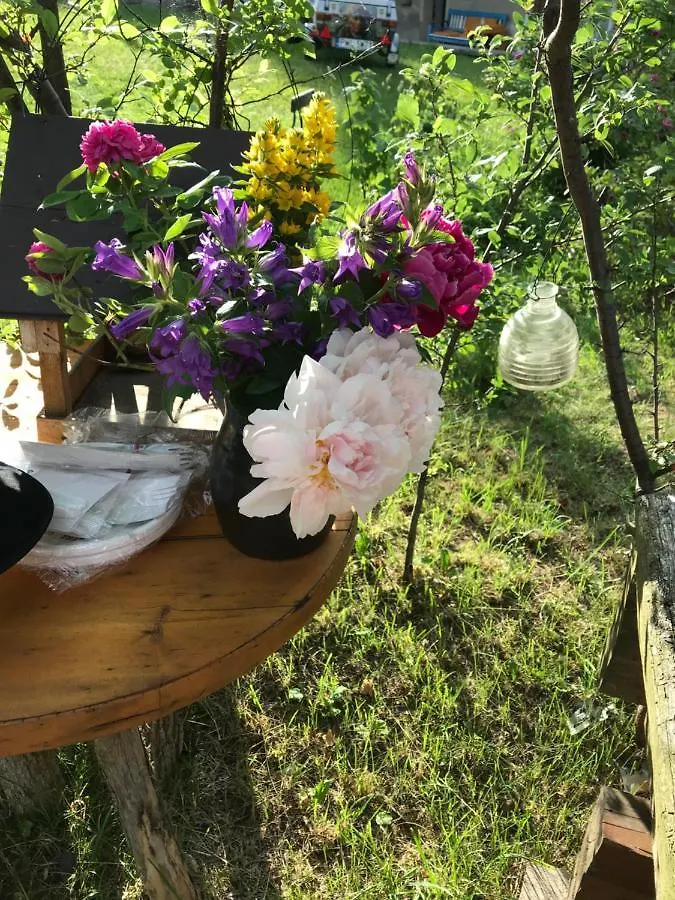 Homestay Domicil Alma Apartment Szklarska Poreba